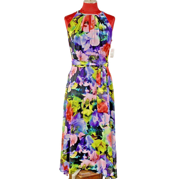 NWT Tahari Sleeveless Maxi Dress Size 6 Sheer Multicolor Floral Watercolor Print - Picture 1 of 13